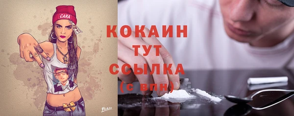 кокс Алексин