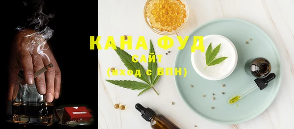 ECSTASY Алзамай