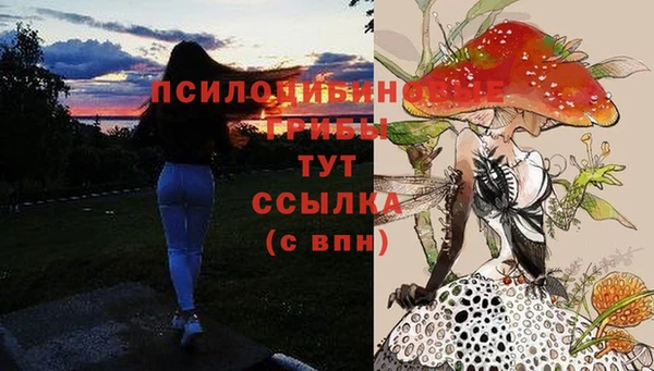 кристаллы Алексеевка