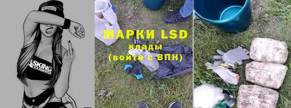 ECSTASY Алзамай