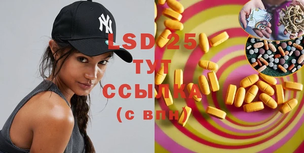 ECSTASY Алзамай