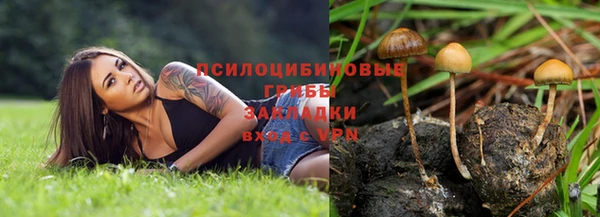 ECSTASY Алзамай