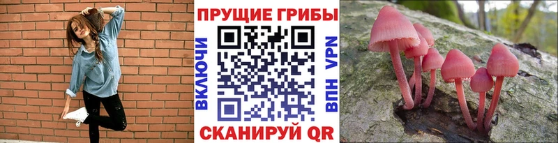 Галлюциногенные грибы Magic Shrooms  Калининск 